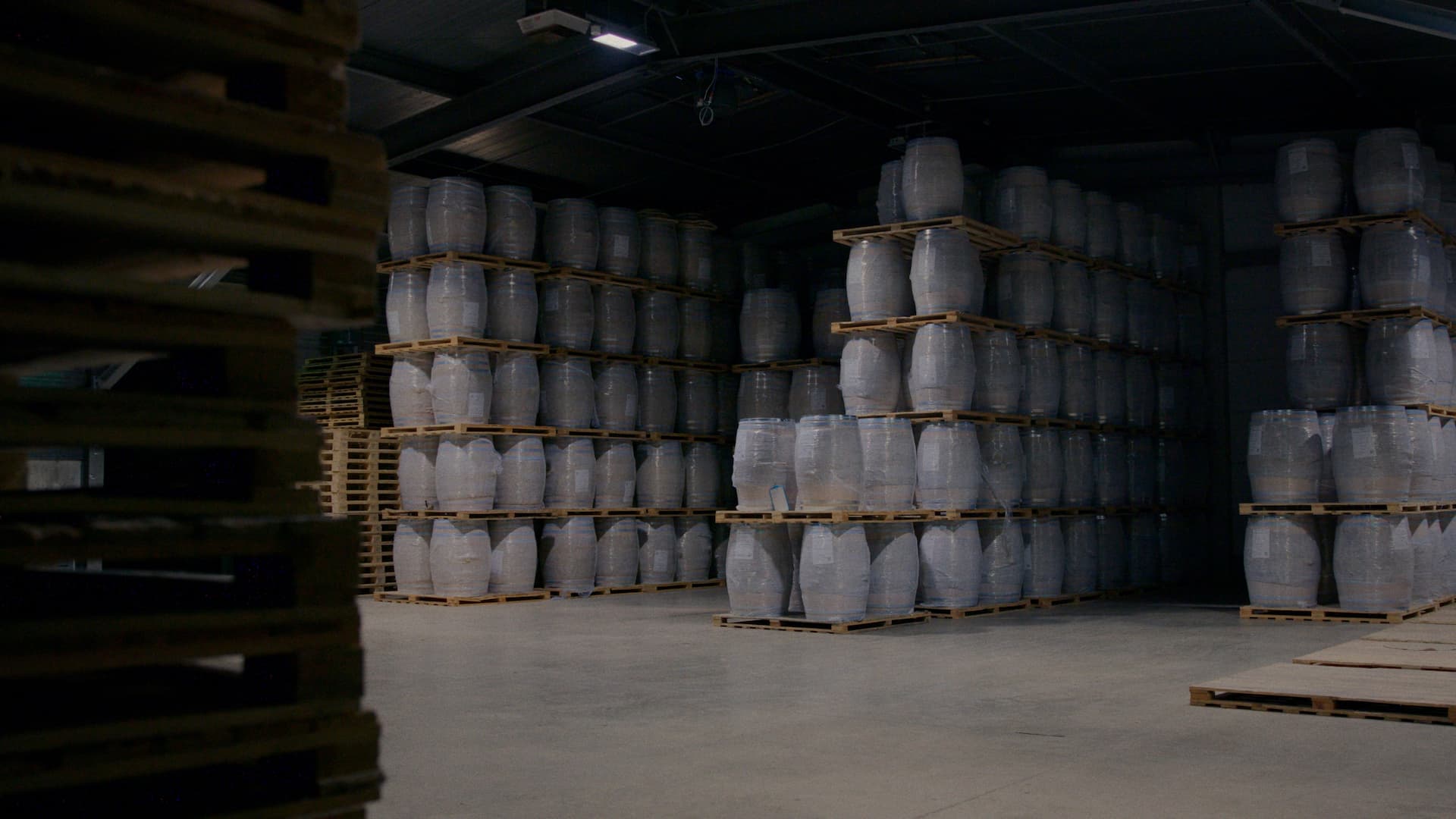 packaging compostable